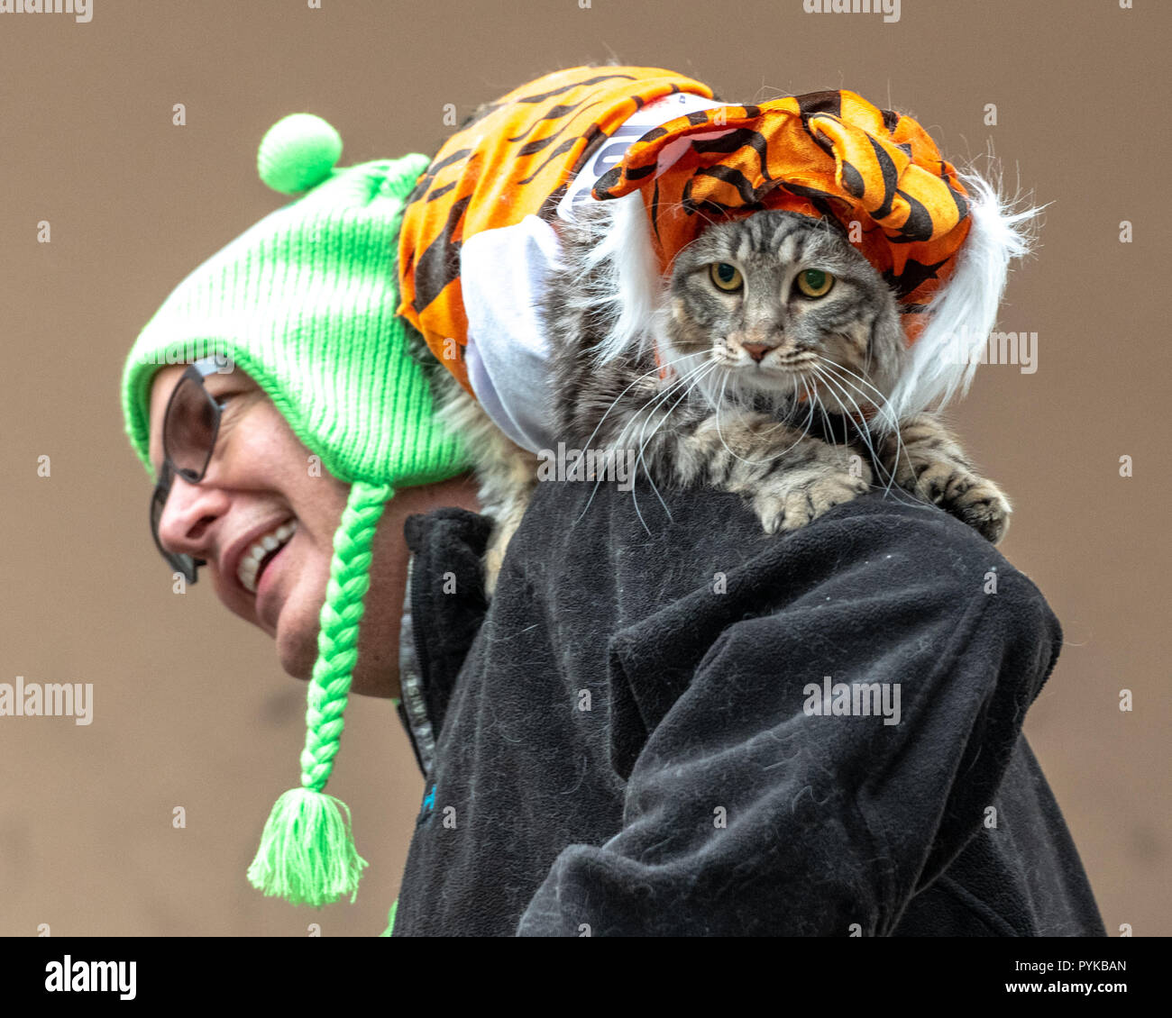 New York Usa 28 Octobre 18 Un Chien Portant Un Costume Et Masque De Chat Est Assis Sur Son Epaule Lors De La 28th Annual Halloween Dog Parade Tompkins Square A New