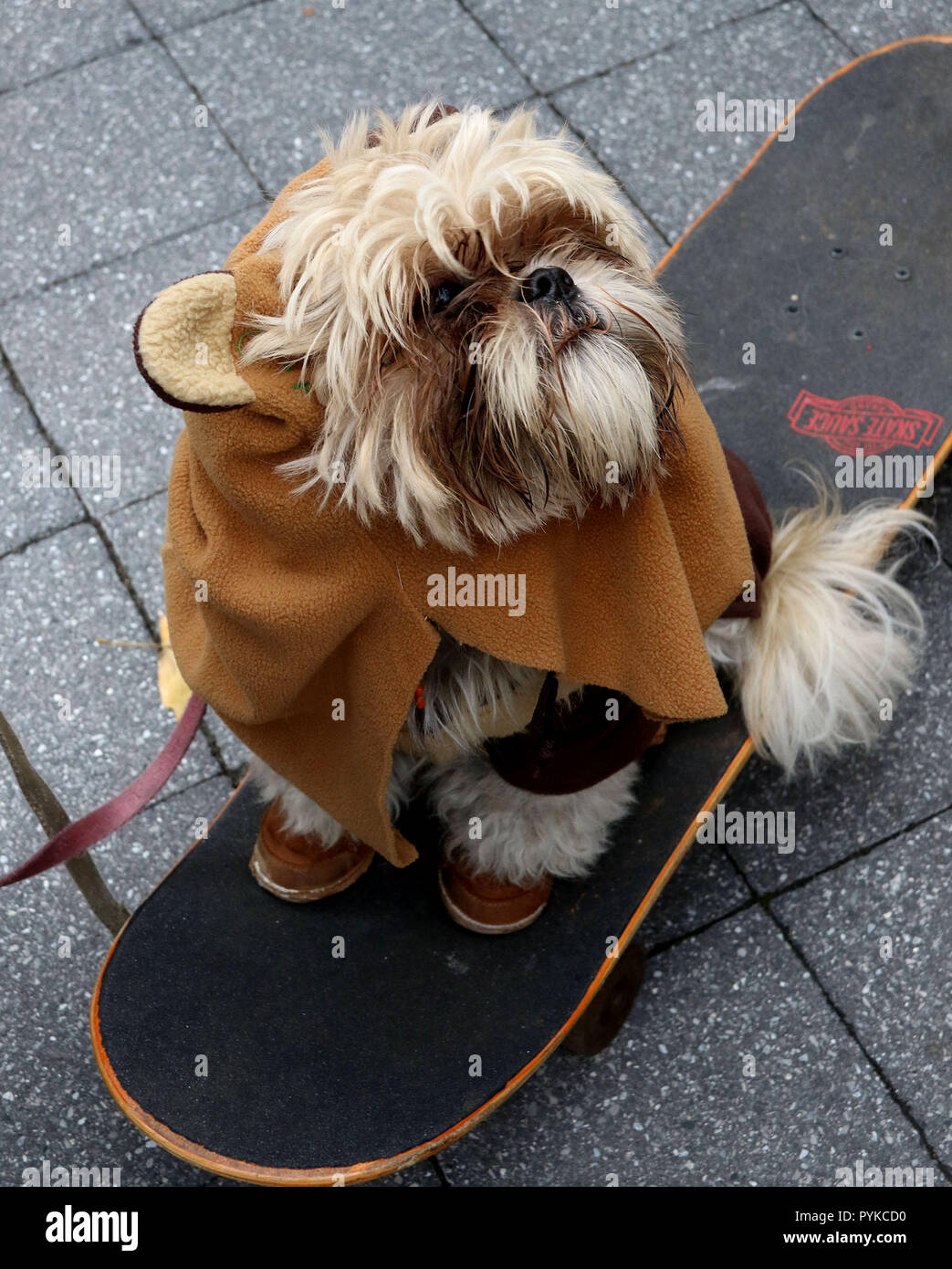 Dog in star wars costume Banque de photographies et d'images à haute  résolution - Alamy