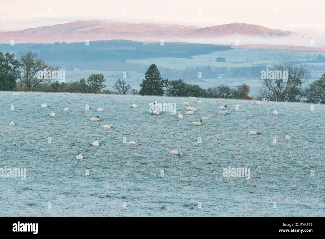 Killearn, Stirlingshire, Scotland, UK. 29 Oct, 2018. uk - un misty et frosty de commencer la journée dans la région de Stirlingshire Crédit : Kay Roxby/Alamy Live News Banque D'Images