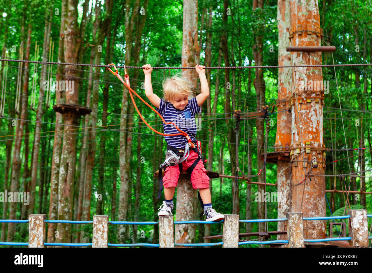 Courageuse jeune enfant dans le harnais de sécurité Grimpez haut sur la cime des arbres, passer pont suspendu obstacle dans l'aventure parc. Des activités de plein air, de style de vie actif Banque D'Images