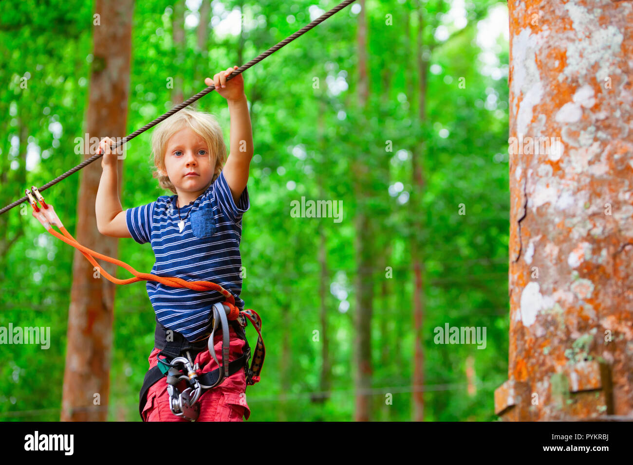 Enfant en harnais, bourrelets de protection fixée par mousquetons pour fil. Grimper sur le tree top, col pont suspendu au parc aventure. Banque D'Images