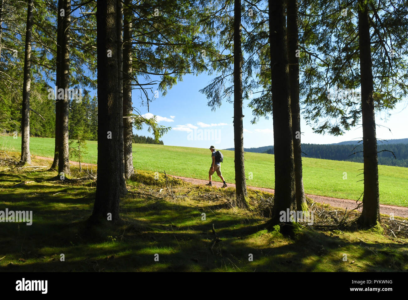 Randonnée randonneur dans l'est de la forêt noire, Baden-Wurttemberg, Germany, Europe Banque D'Images