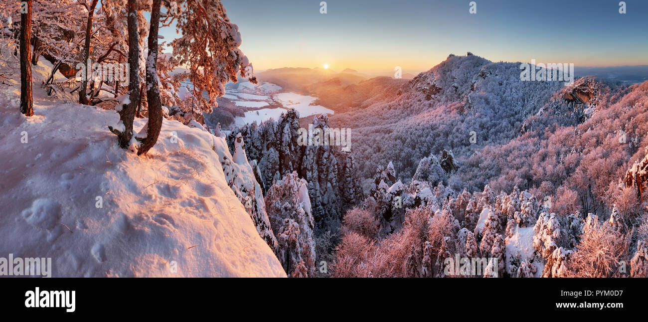 Paysage de montagne avec la forêt d'hiver Banque D'Images