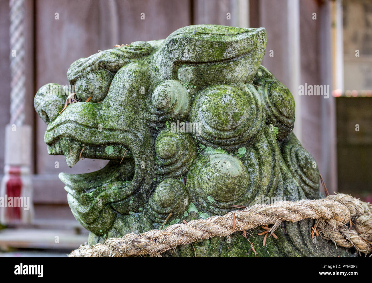 Lion-chien, ou komainu, dans un temple Shinto à Kanazawa, Japon. Ces statues sont observés en couples dans la plupart des sanctuaires et sont destinées à parer Banque D'Images