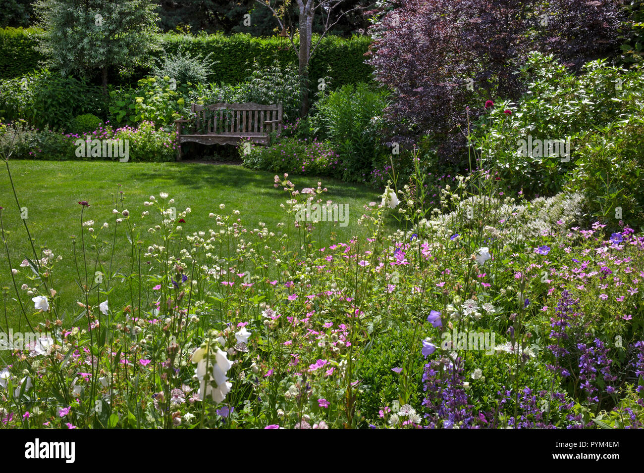 Boarder d'été en jardin anglais avec banc en bois ,Angleterre,Europe Banque D'Images