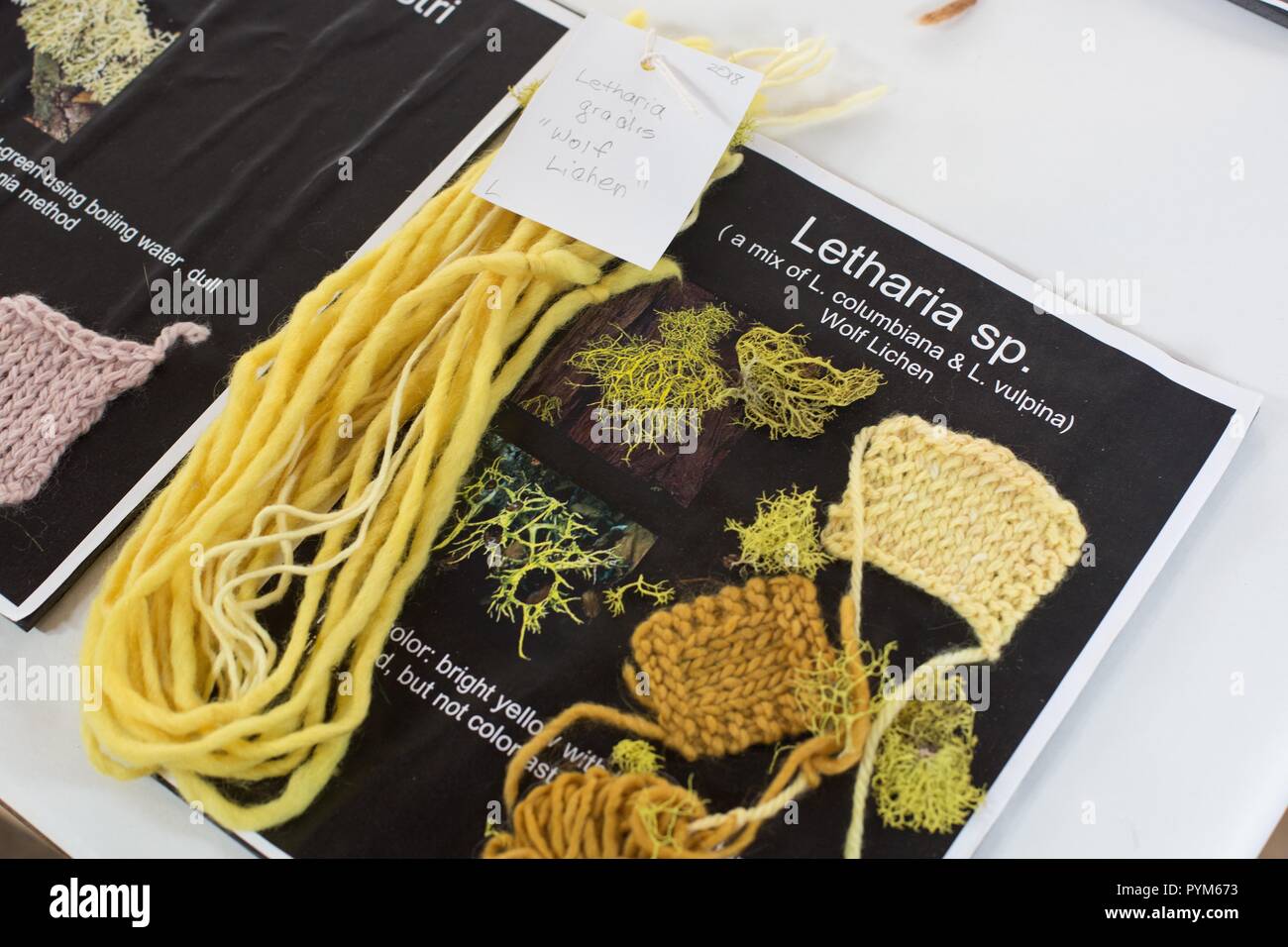 Partie d'un affichage informatif sur la teinture de la laine avec les lichens. Banque D'Images