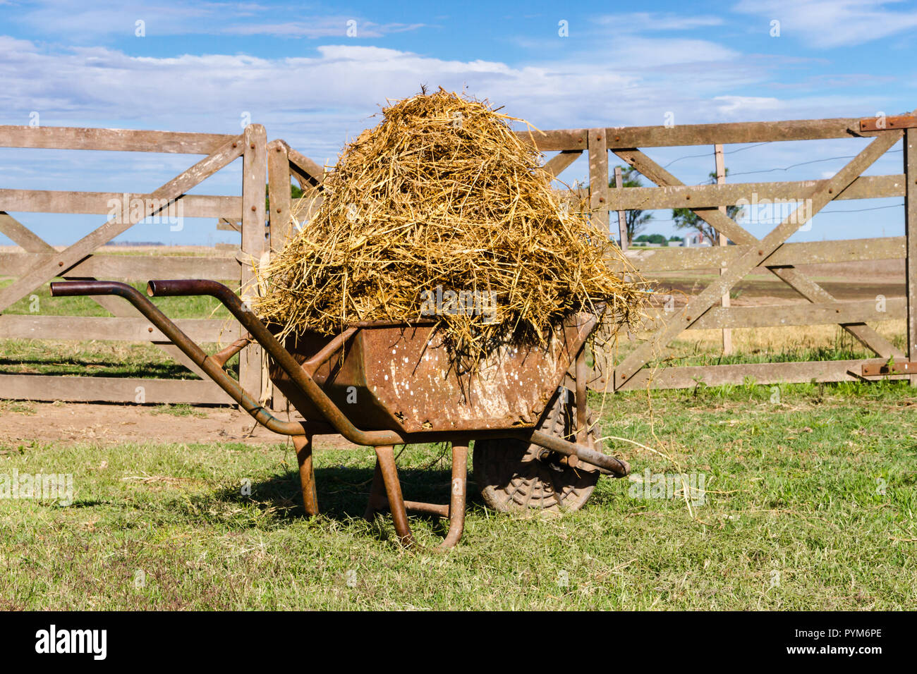 Vieille brouette chargée avec la luzerne dans le domaine de la pampa argentine Banque D'Images