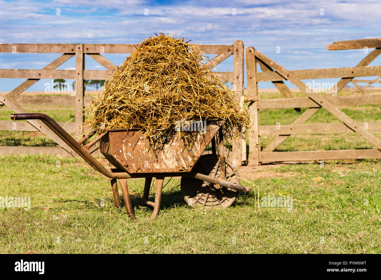 Vieille brouette chargée avec la luzerne dans le domaine de la pampa argentine Banque D'Images