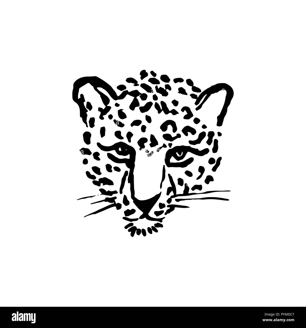 Leopard face vector illustration print Banque d'images noir et blanc - Alamy