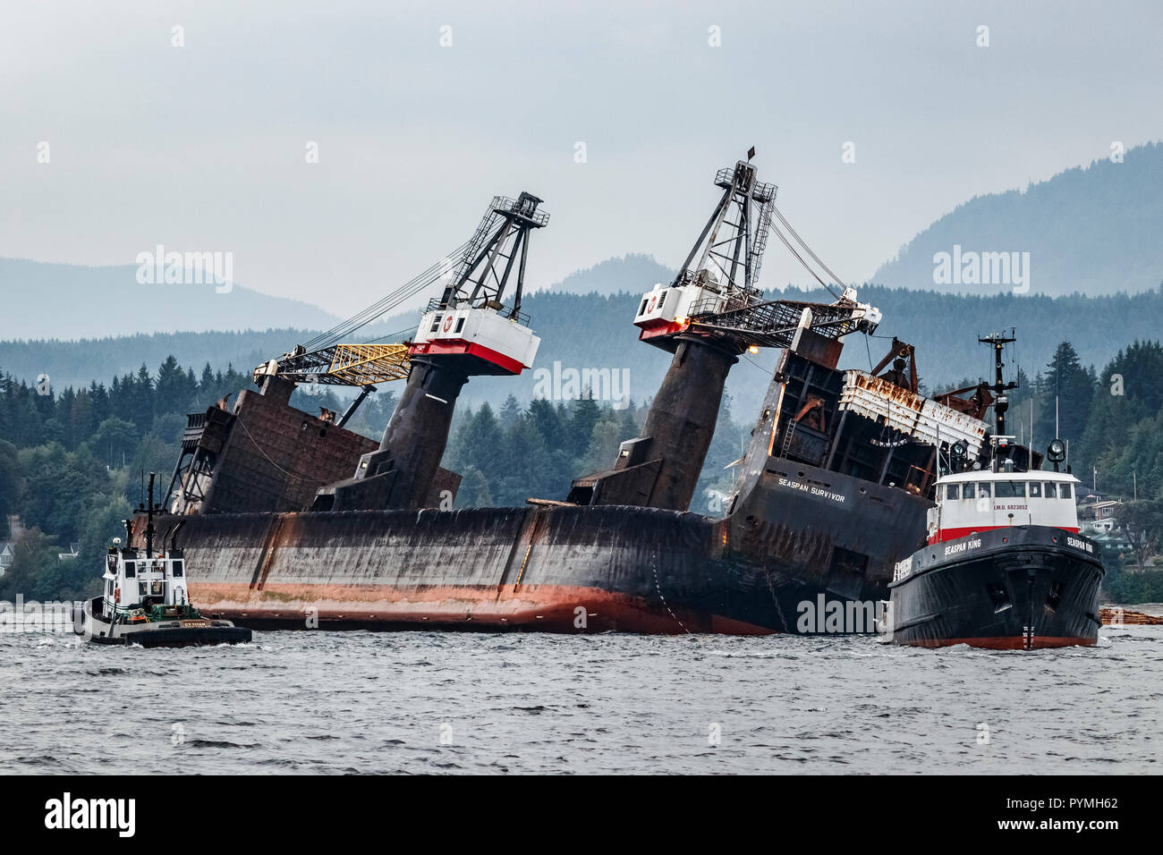 Après le déversement de la charge, l'auto-dumping log barge Seaspan survivant, encore plus nantis, est tenu par les remorqueurs Seaspan C.T King et Titan. Banque D'Images