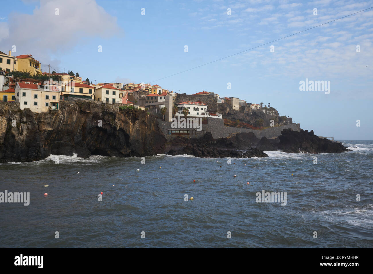 Avis de Câmara de Lobos marins du port, à Madère Banque D'Images