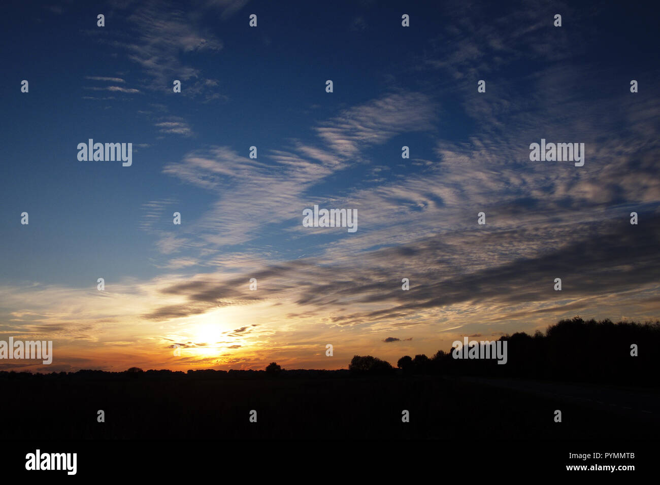 Coucher de soleil sur Bargerveen, Pays-Bas Banque D'Images