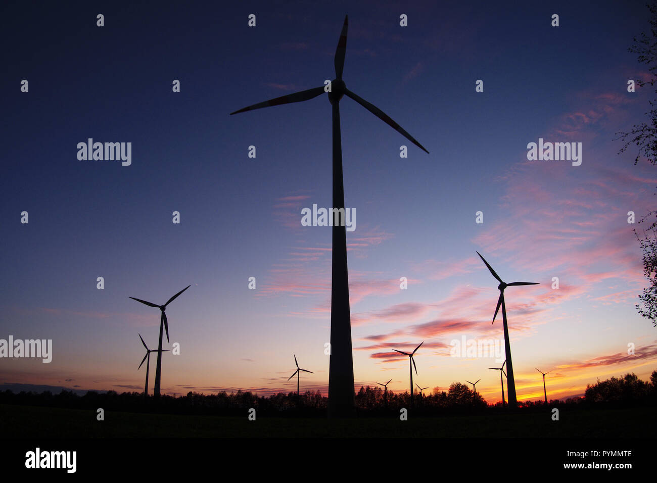 Coucher de soleil sur Bargerveen, Pays-Bas Banque D'Images