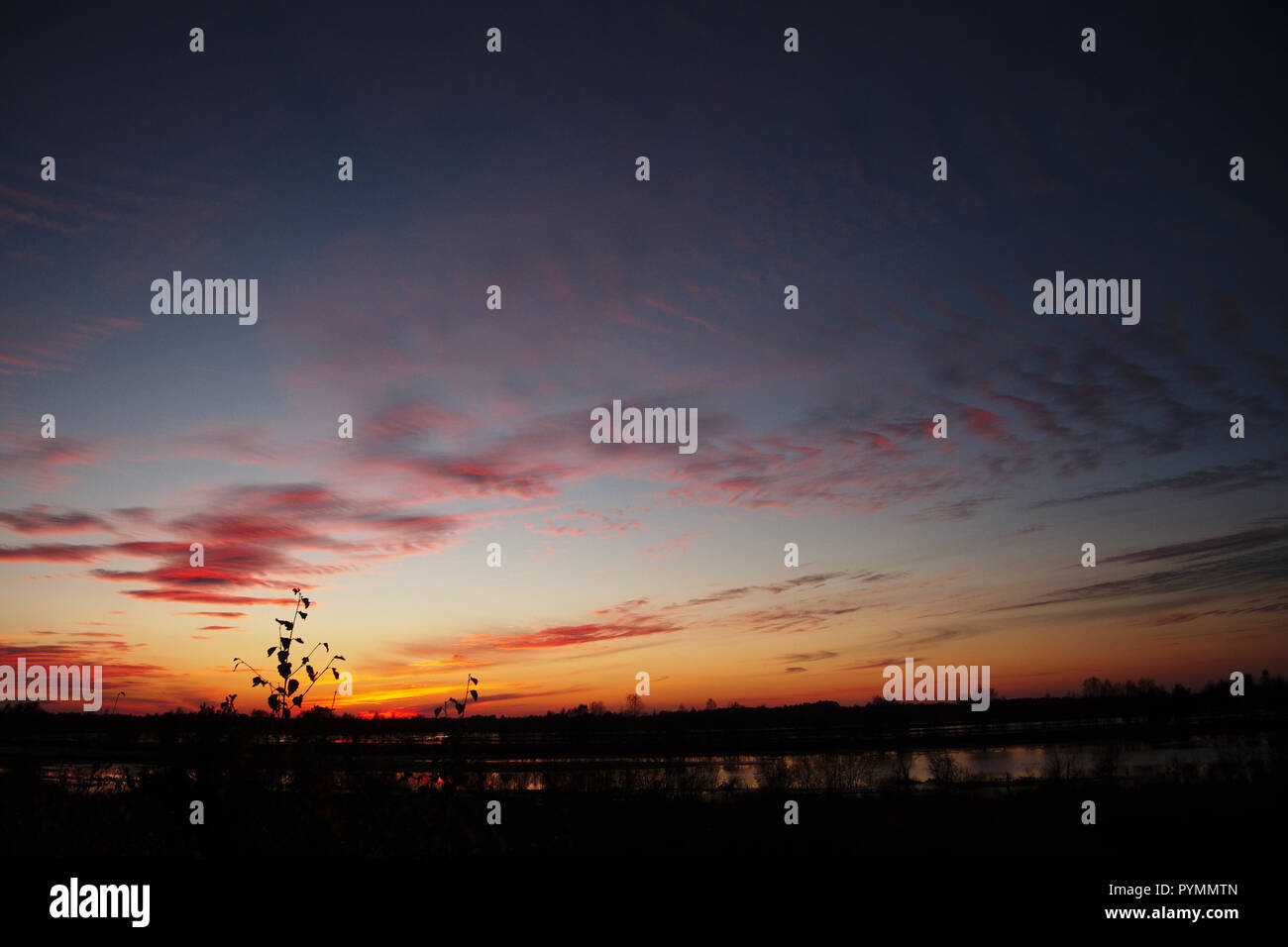 Coucher de soleil sur Bargerveen, Pays-Bas Banque D'Images