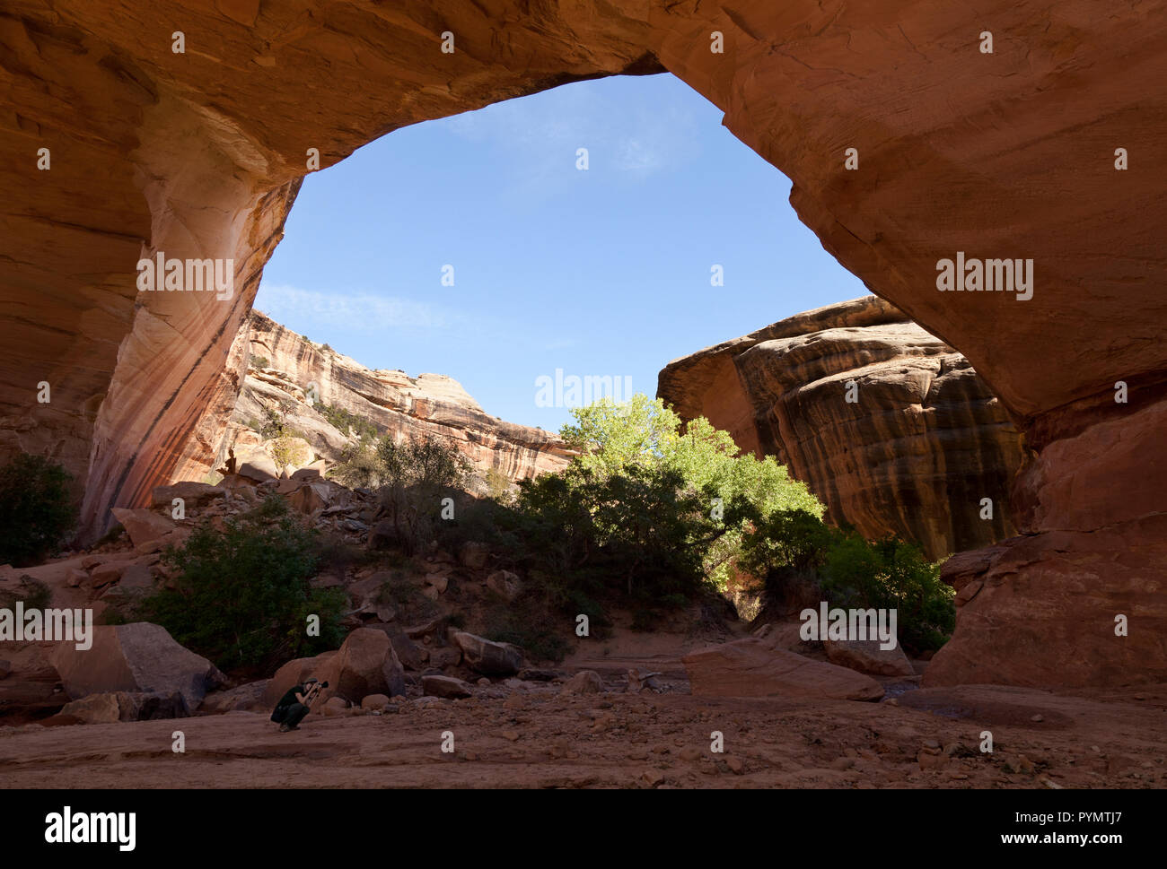 Kachina Bridge in Natural Bridges National Monument, Utah, USA Banque D'Images