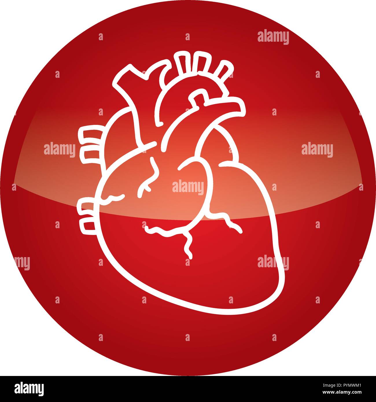 Les droits de l'organe cardiaque vecteur icône illustration design Illustration de Vecteur