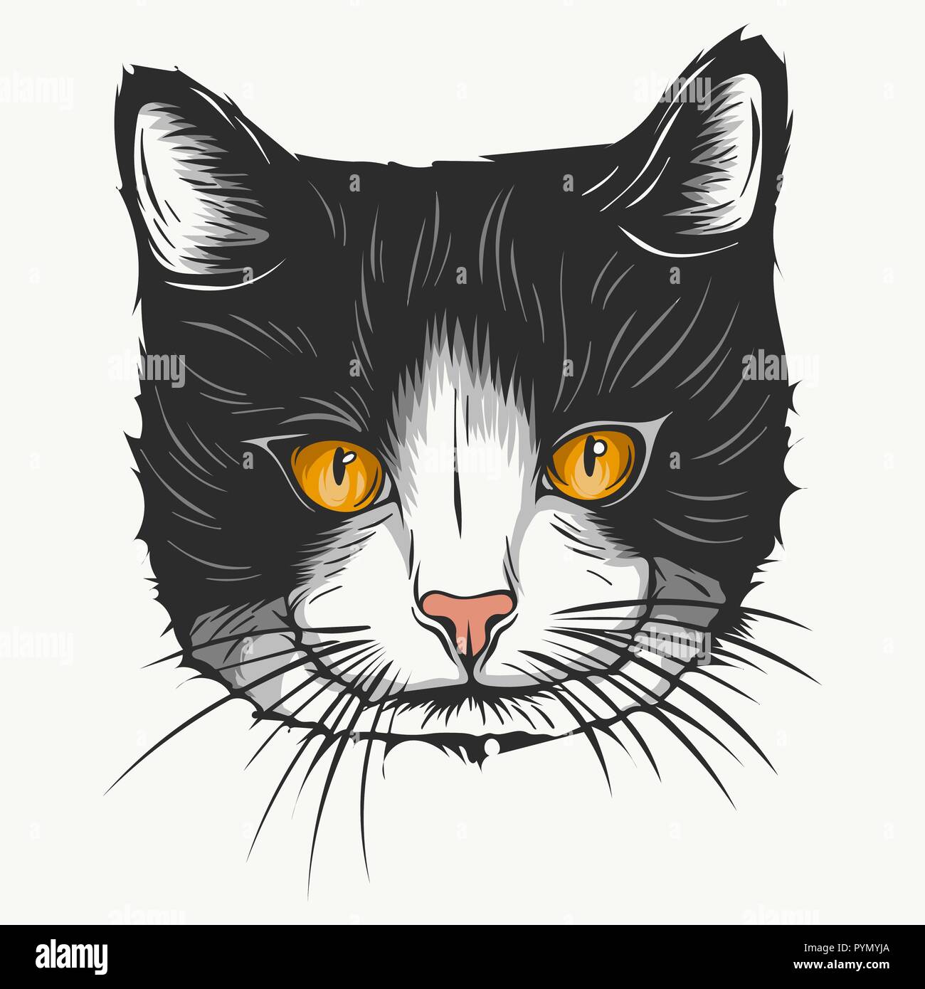 Vector croquis d'un visage stylisé chaton Illustration de Vecteur