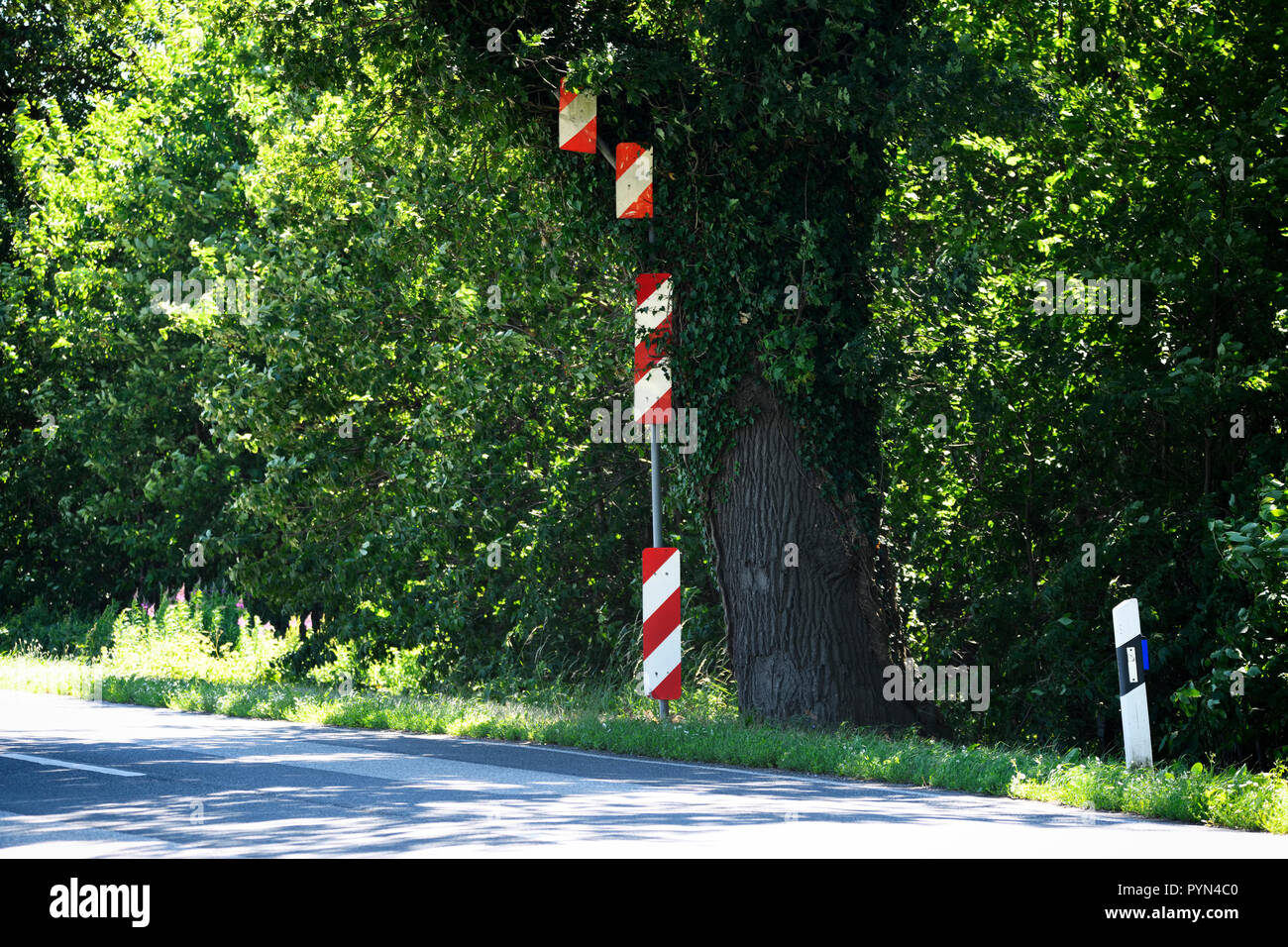 Blancheur rouge du faisceau d'avertissement dans un arbre d'atteindre dans la rue en montagne Kling, Schleswig - Holstein, Allemagne, un Warnbalken Daruşşifa weiße einem auf die St Banque D'Images