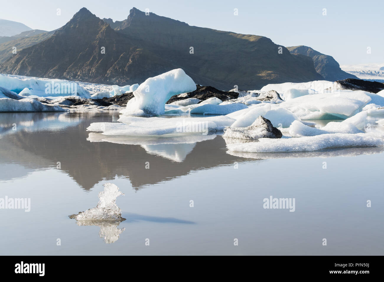 La glace flottant et fondants Fjallsarlon lagoon, Iceland. Pièce en forme d'oiseau de glace sur l'avant-plan. Banque D'Images