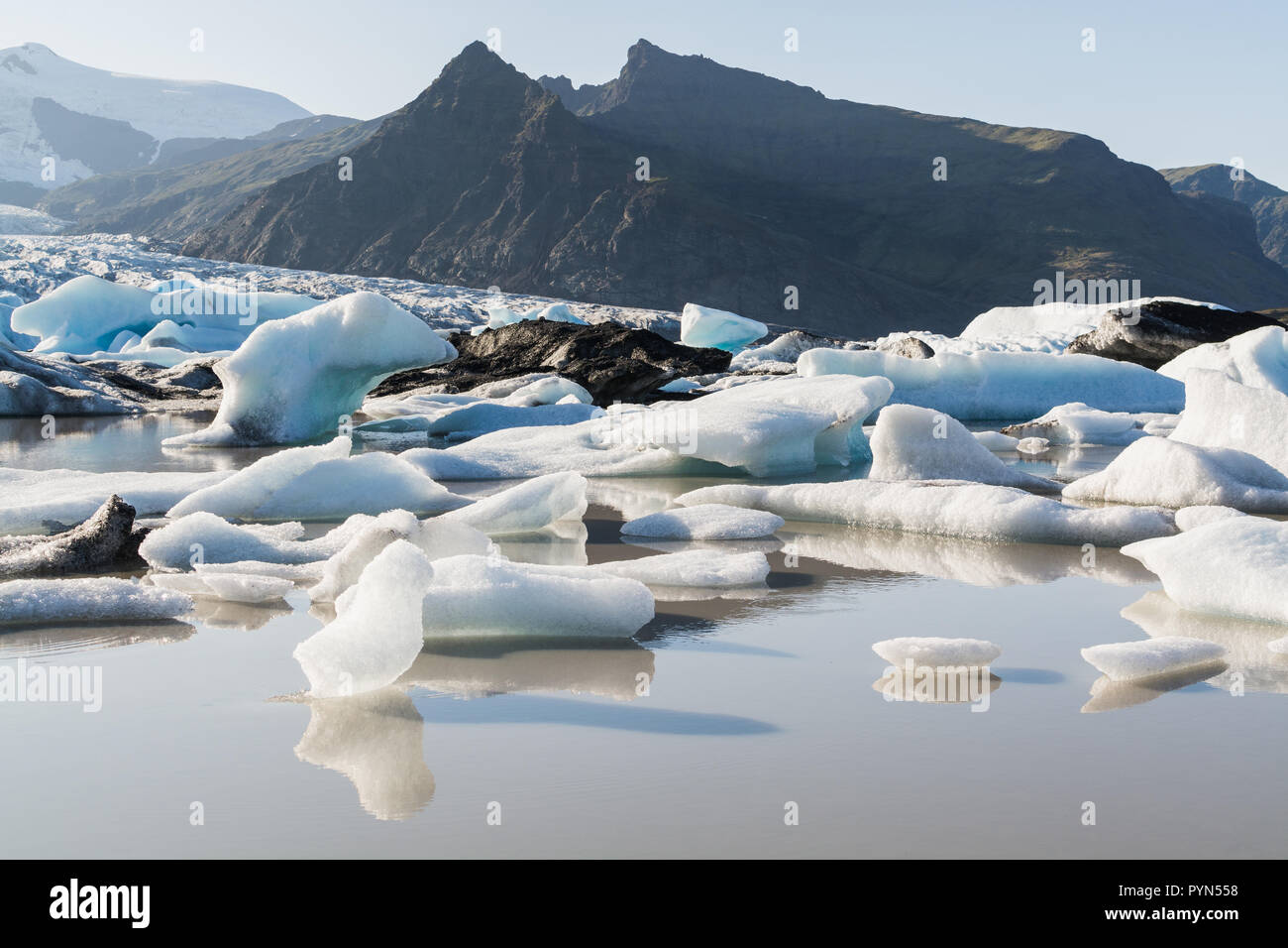 La glace flottant et fondants Fjallsarlon lagoon, Iceland. Pièce en forme d'oiseau de glace sur l'avant-plan. Banque D'Images