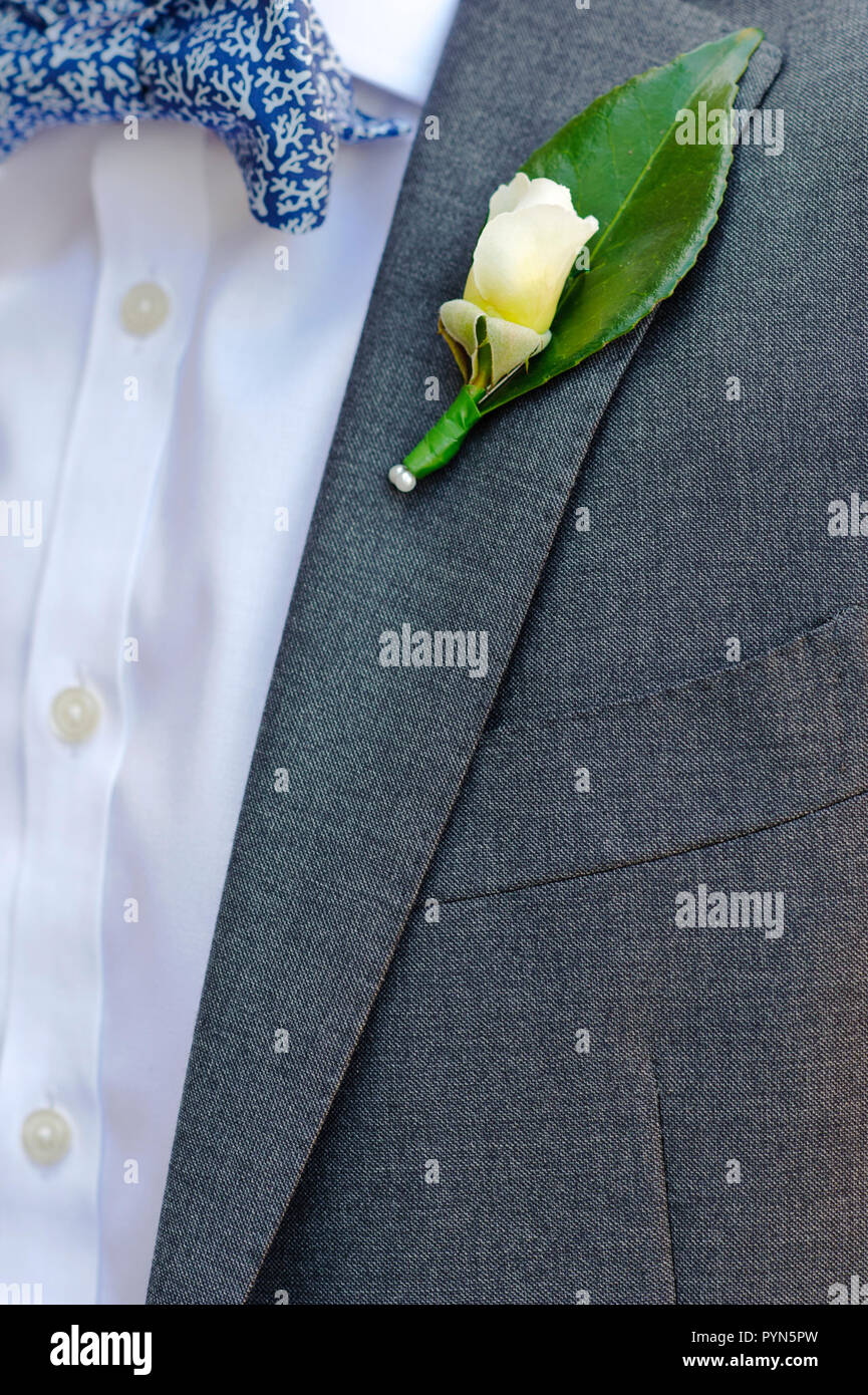 Groom portant sur boutonnière rose cravate costume gris avec une chemise  blanche et bleu noeud papillon, vue en gros Photo Stock - Alamy