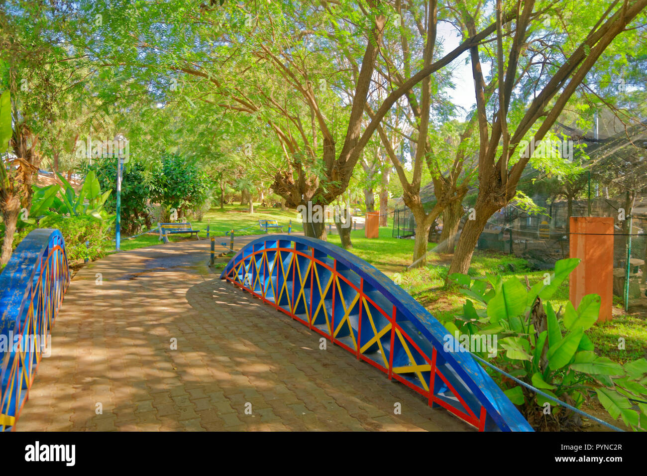 Parc de la vallée des oiseaux, de la vallée des oiseaux, dans le centre de Agadir, Maroc, Souss-Massa Province du Nord, Afrique de l'Ouest. Banque D'Images
