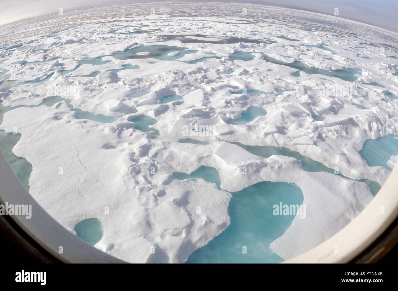 Océan Arctique - un banc de glace glisse vers le bas du côté tribord de la garde-côte de Healy 12 août 2009, alors que le navire vers le nord jusque dans la glace épaisse. Banque D'Images