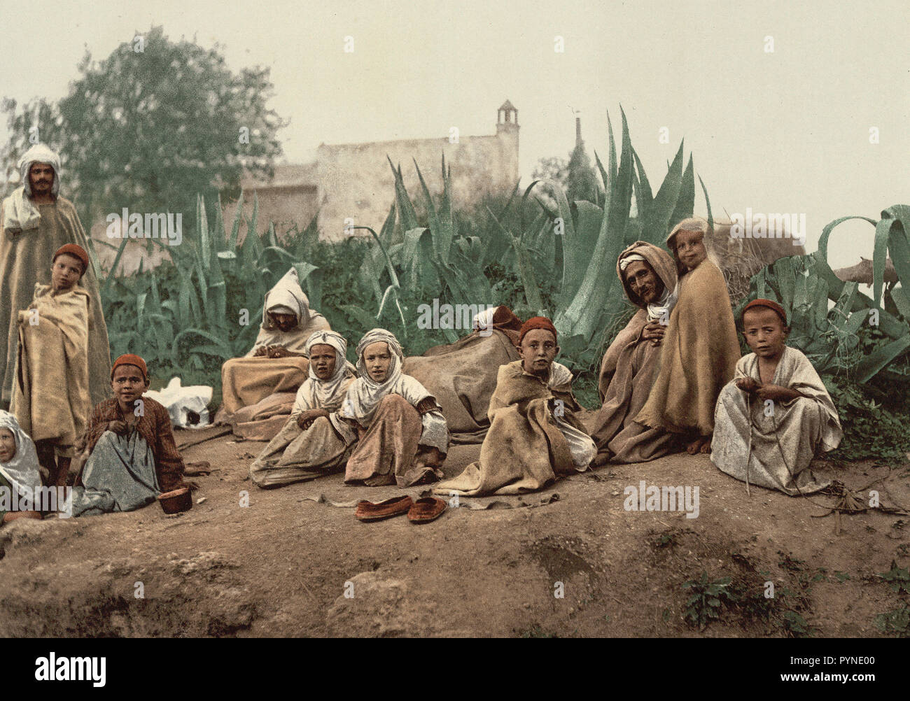 les-arabes-d-algerie-banque-de-photographies-et-d-images-haute