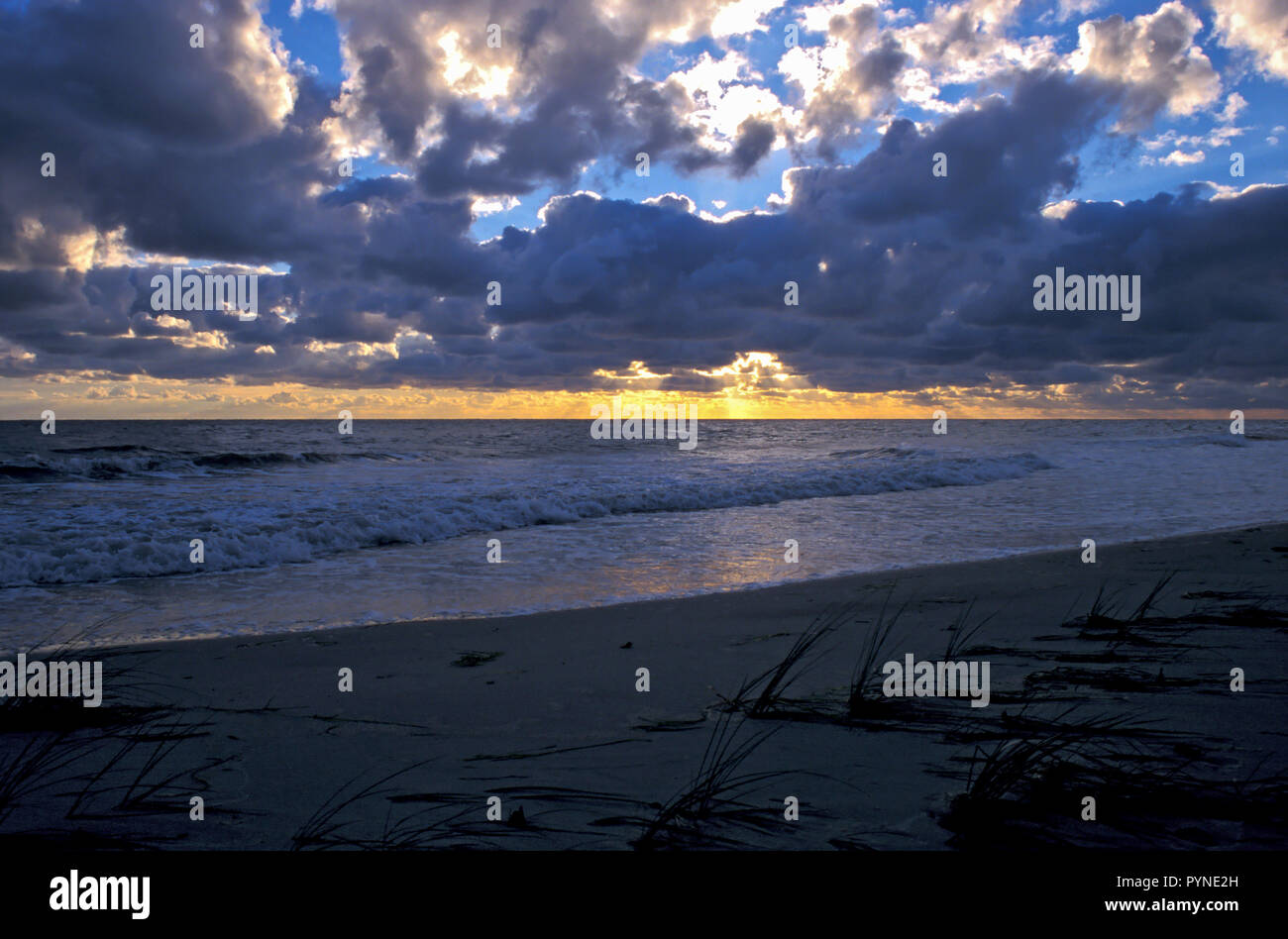Coucher du soleil à West Beach, Darsser Ort, la mer Baltique Mecklembourg-Poméranie-Occidentale, Allemagne Banque D'Images