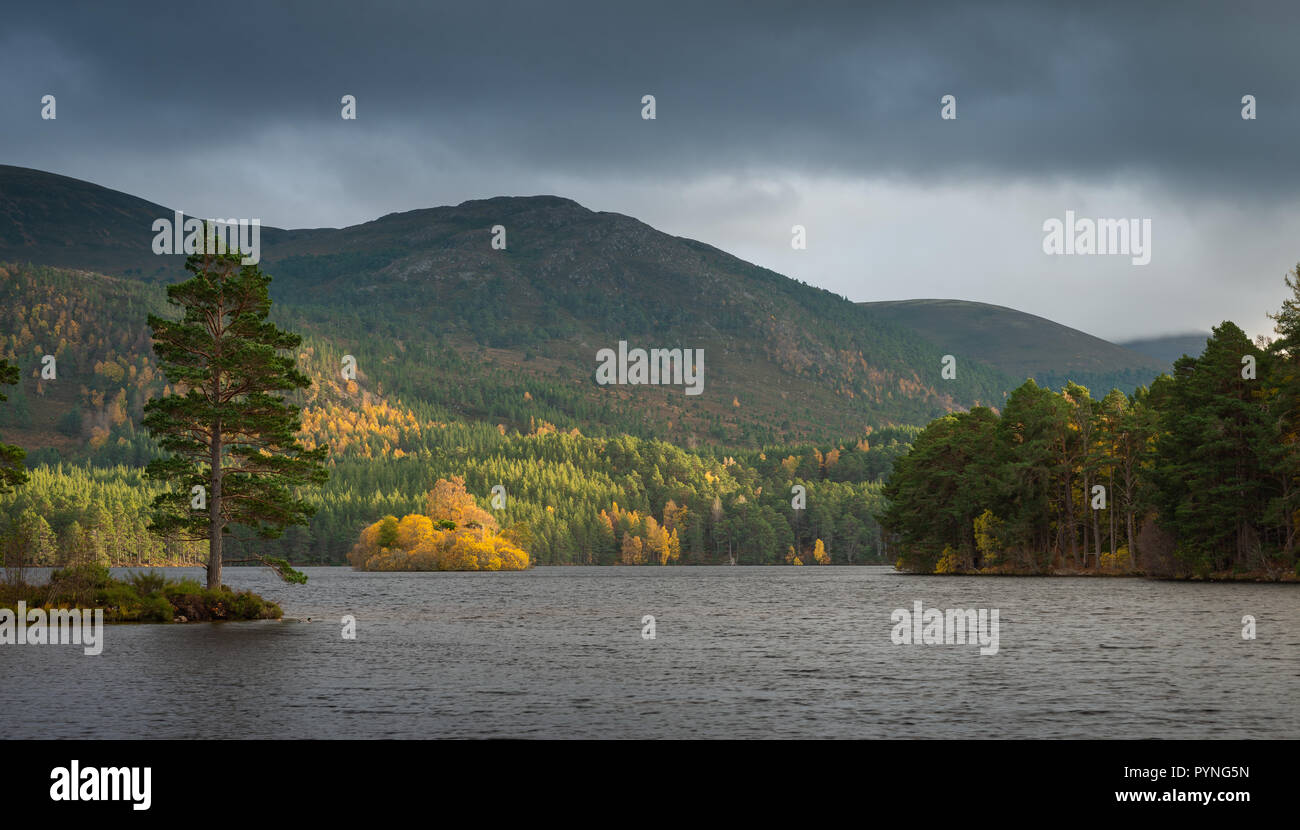 Loch an Eilein, Rothiemurchus dans le parc national de Cairngorm dans les Highlands écossais. Prise à l'automne que le soleil est sur le point d'établir. Banque D'Images