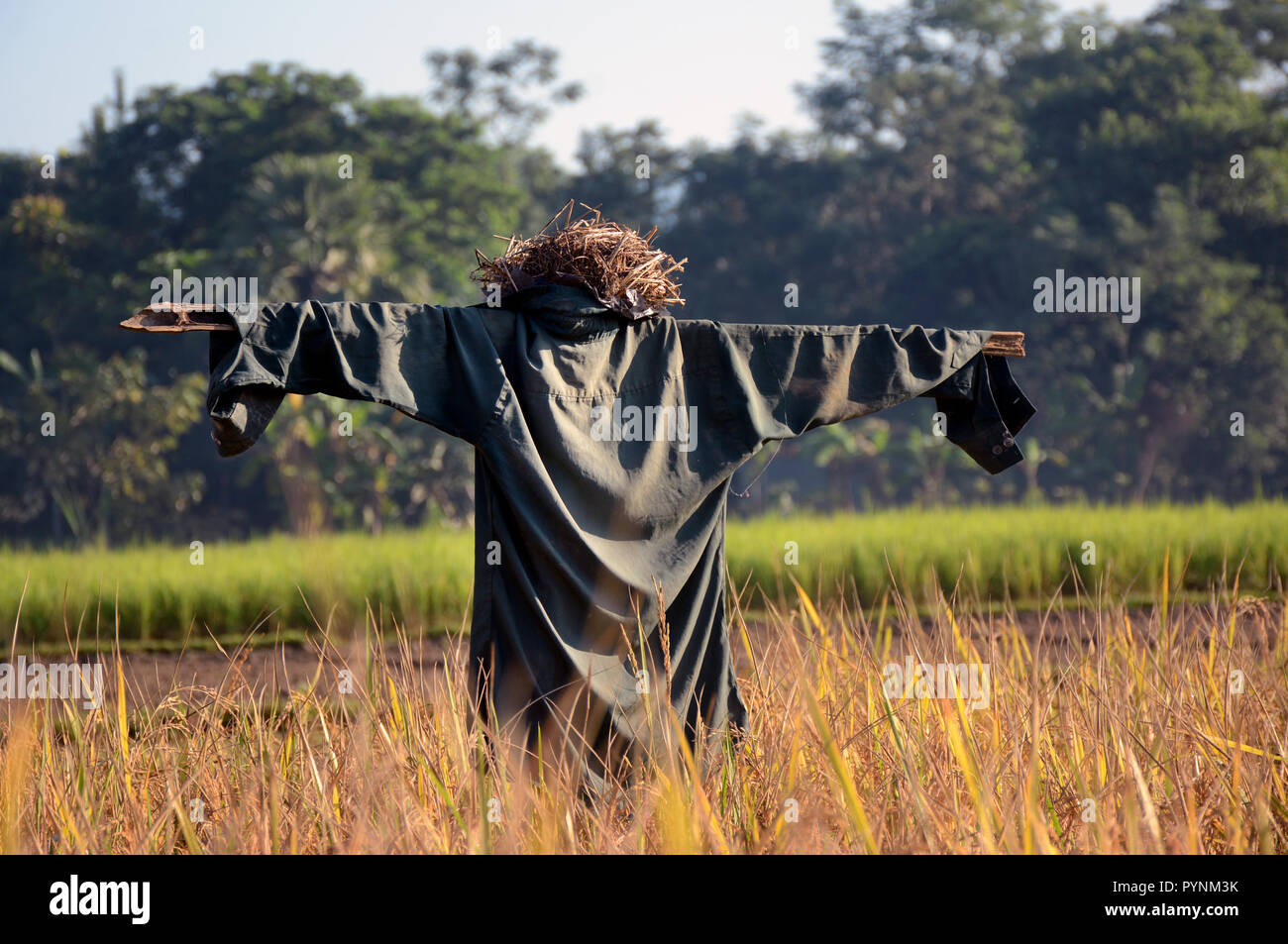 Beauté de la Nature Banque D'Images