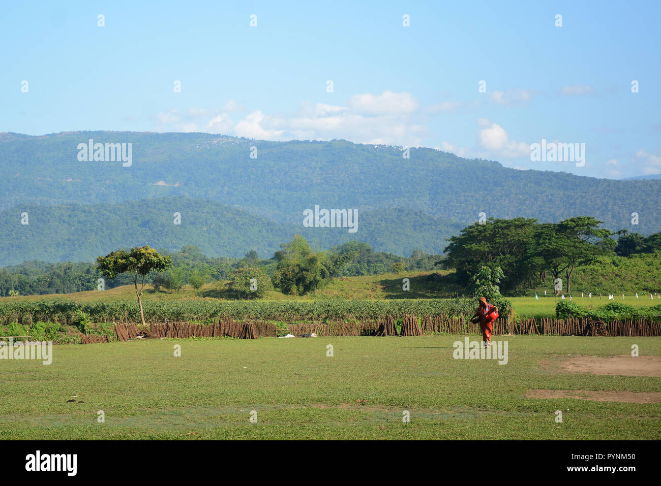 Beauté de la Nature Banque D'Images