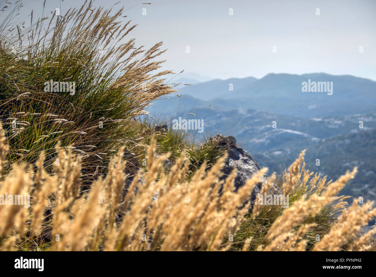 Le parc national de Lovcen, Monténégro - paysage de montagne d'automne Banque D'Images