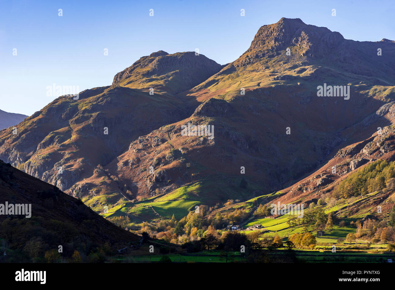 Le Langdale Pikes dans le Langsale, le pays des lacs. Nord-ouest de l'Angleterre. Couleurs d'automne Banque D'Images