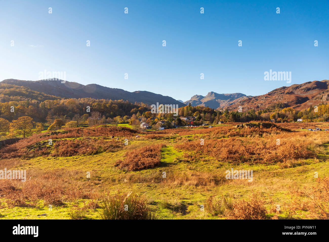 Le Langdale Pikes dans le Langsale, le pays des lacs. Nord-ouest de l'Angleterre. Couleurs d'automne Banque D'Images