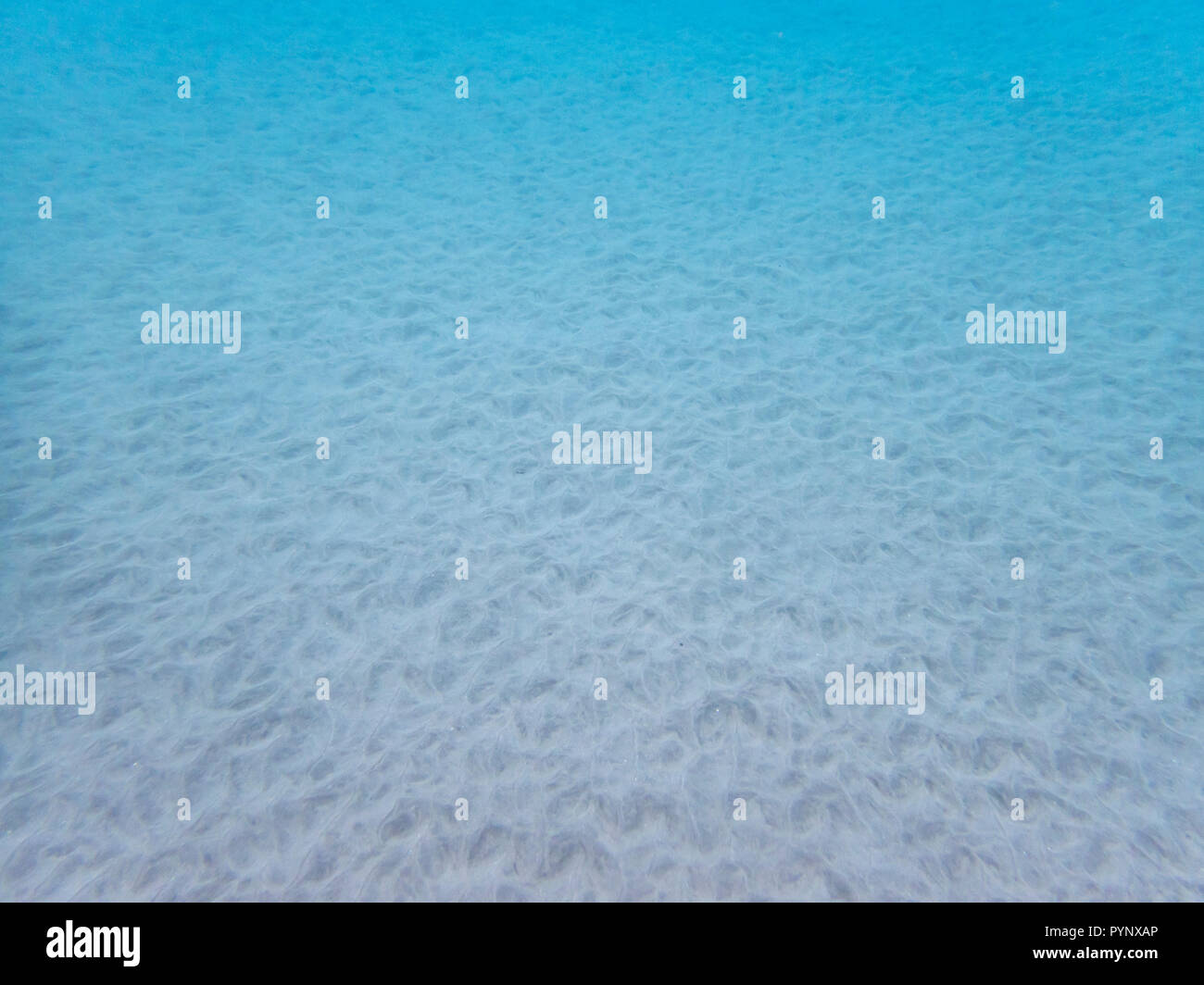 Sous l'océan avec des motifs et textures dans le sable en eau bleu clair Banque D'Images