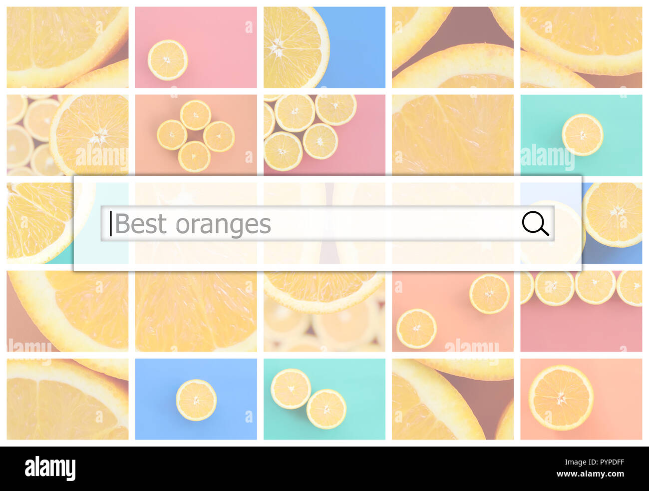 Visualisation de la barre de recherche sur l'arrière-plan d'un collage de plusieurs photos avec les meilleures oranges juteuses. Banque D'Images
