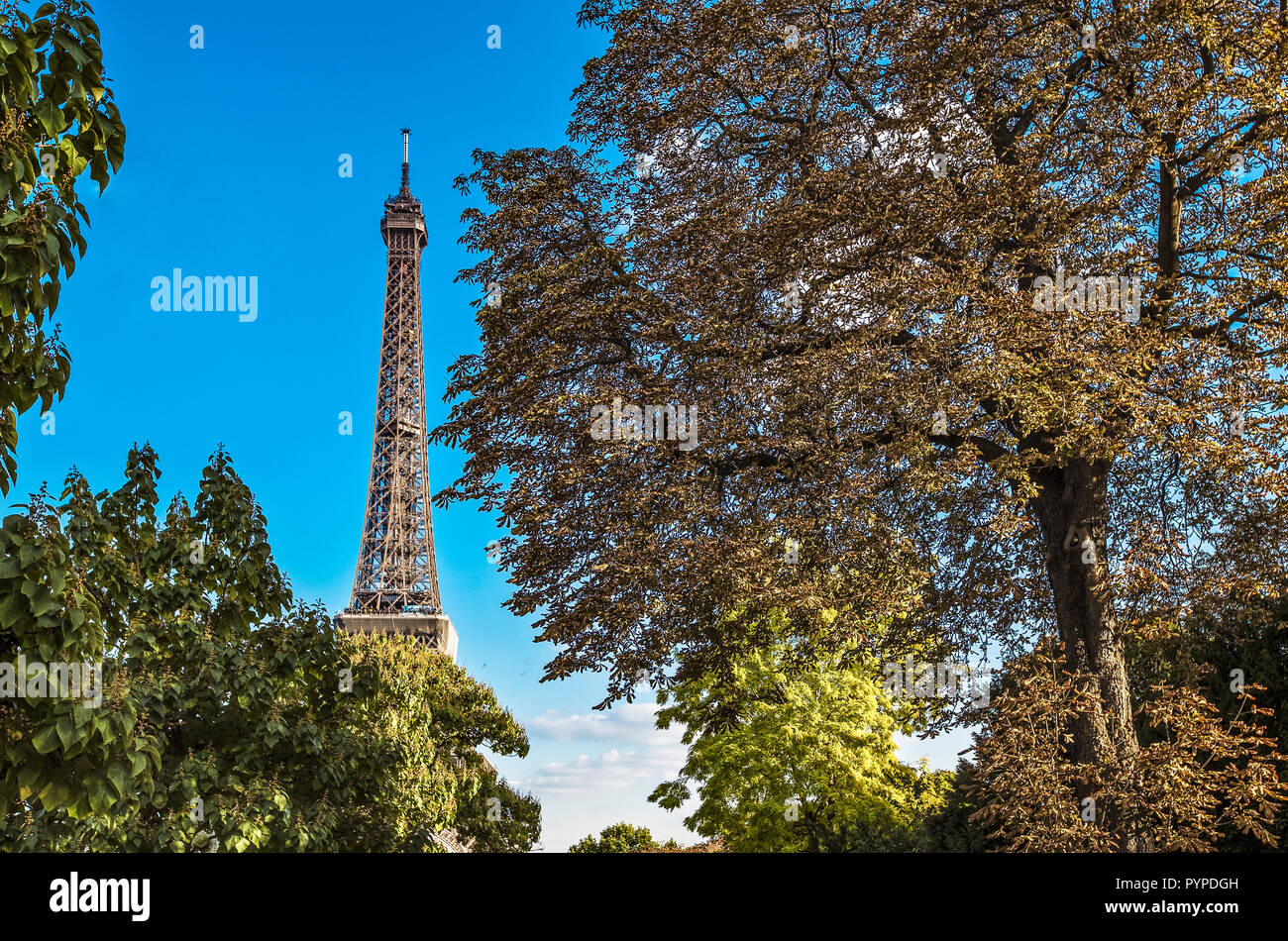 France,Paris,la Tour Eiffel vu de ce moment à Square Banque D'Images