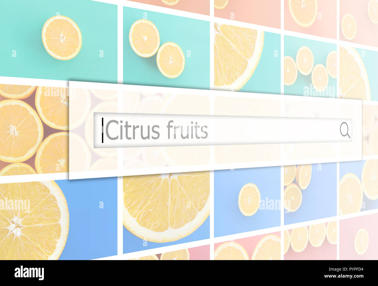 Visualisation de la barre de recherche sur l'arrière-plan d'un collage de plusieurs photos avec des oranges juteuses. Agrumes Banque D'Images