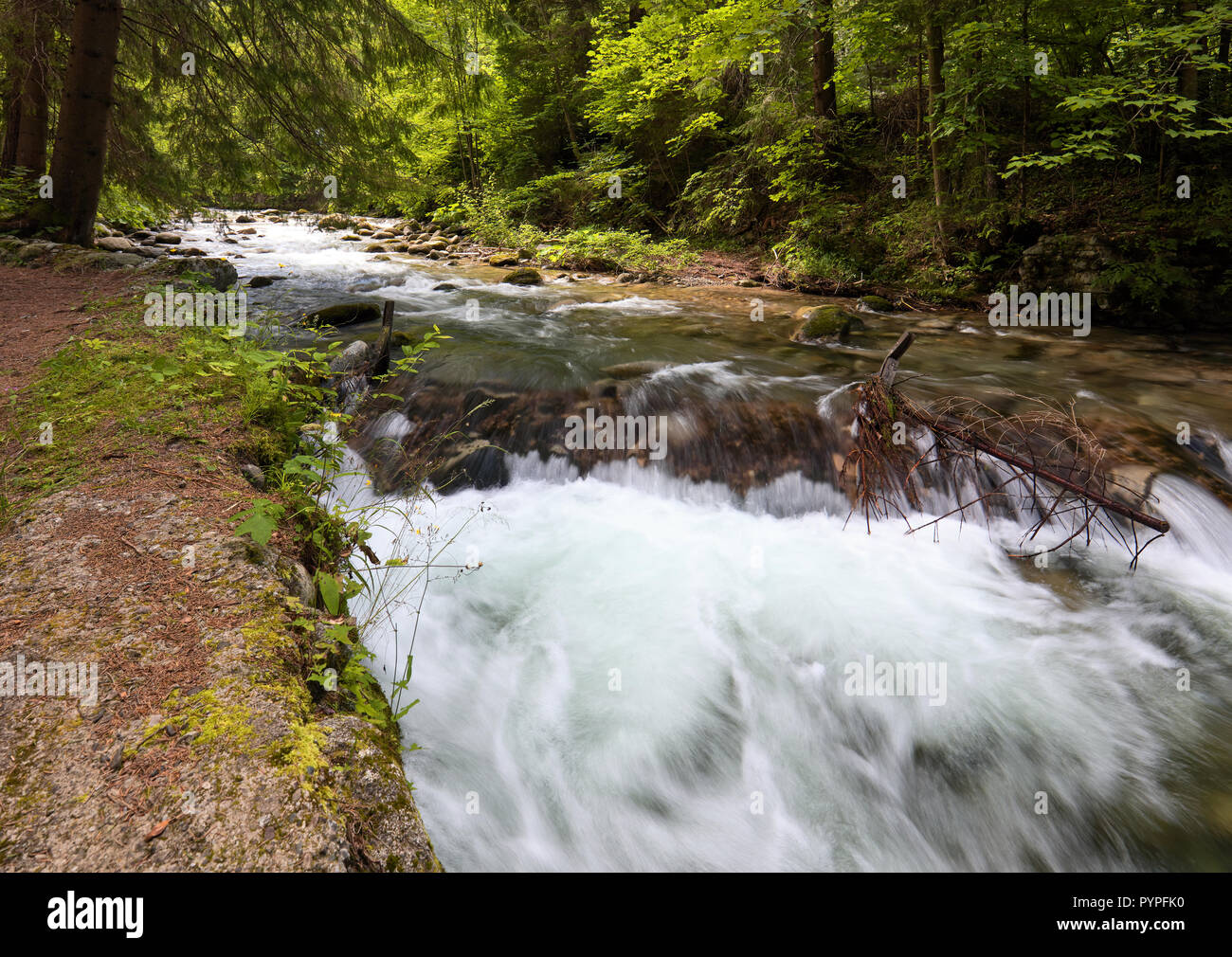 Dans Demanovka flux vallée Demanovska Dolina, Slovaquie Banque D'Images