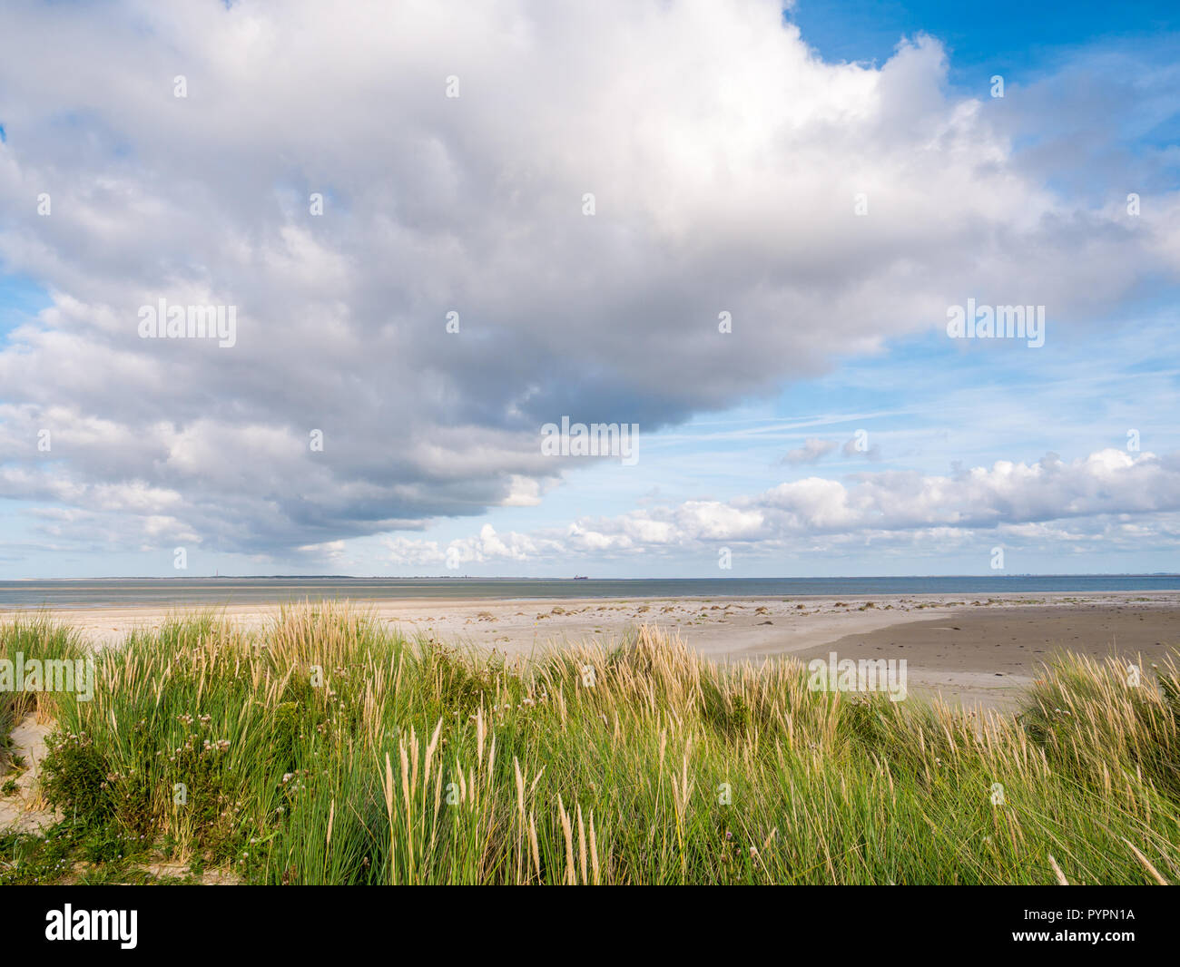 Vue de Boschplaat sur l'île de Terschelling aux raz-de-Borndiep de sortie et l'île Ameland avec phare, mer des Wadden, Pays-Bas Banque D'Images