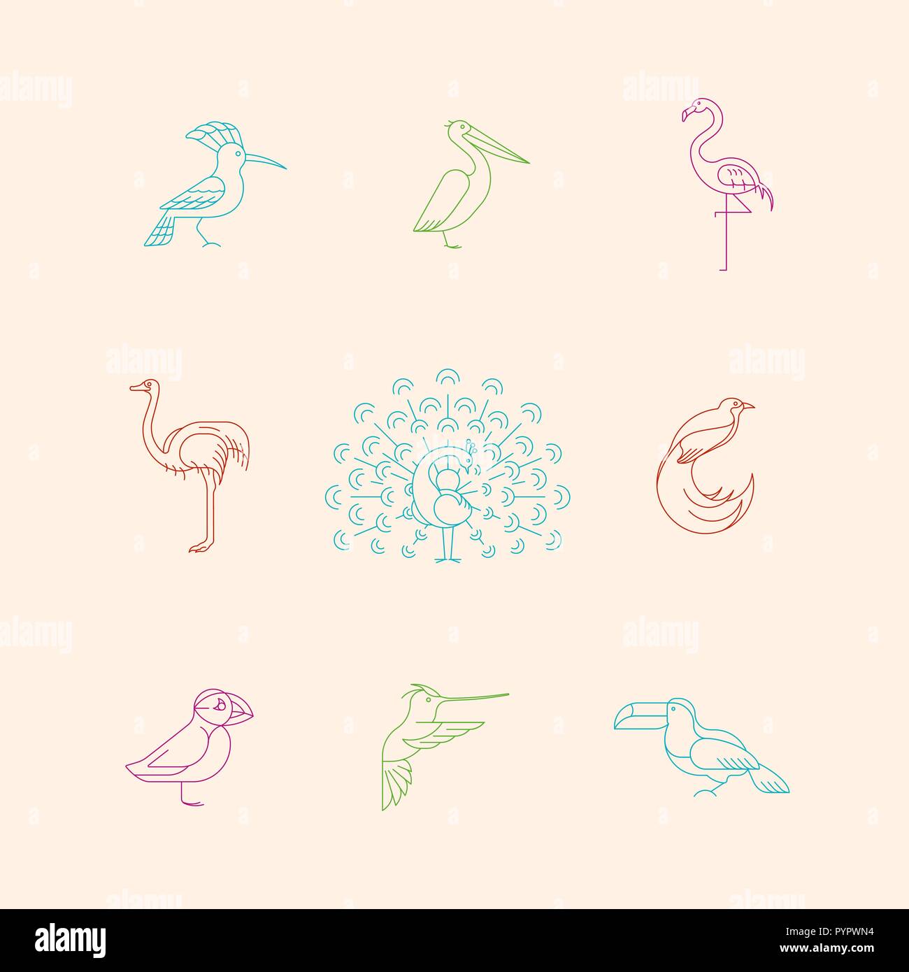 Les oiseaux sont des espèces différentes. Définir l'icône de la ligne. Peut être utilisé pour le logo, print, web site Illustration de Vecteur