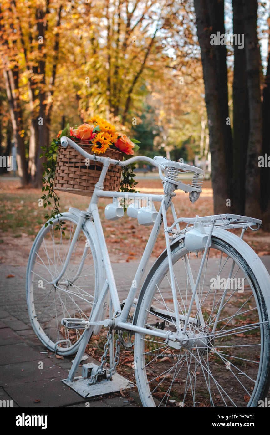 Vintage bicycle avec des fleurs sur le paysage d'automne dans l'arrière-plan Banque D'Images