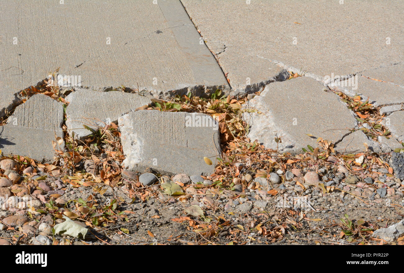 Trottoir cassé en béton besoin de réparation avec des feuilles mortes et le concept de brisure de la société Banque D'Images