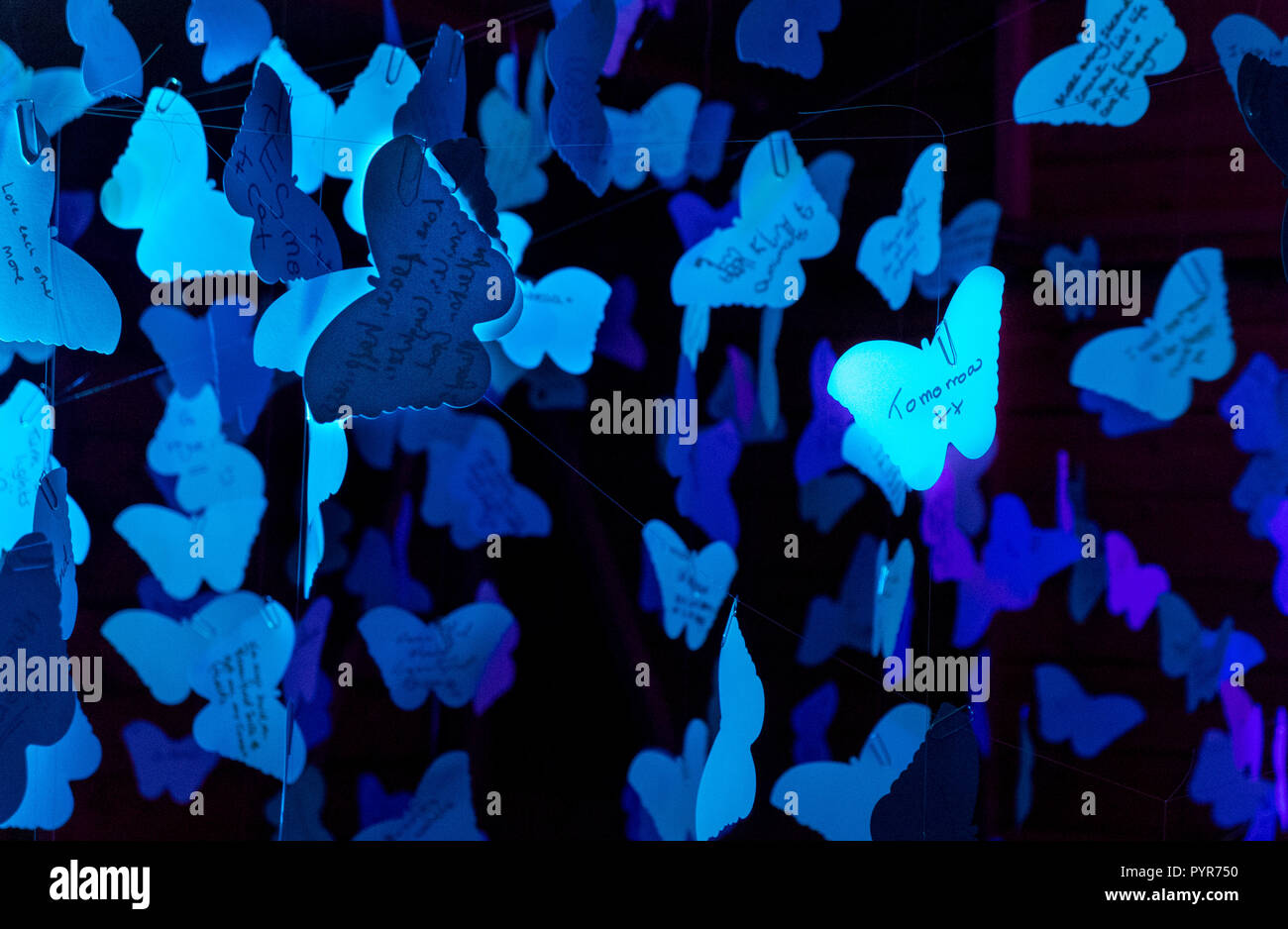 Exposition d'art papillon papier poignant Banque D'Images