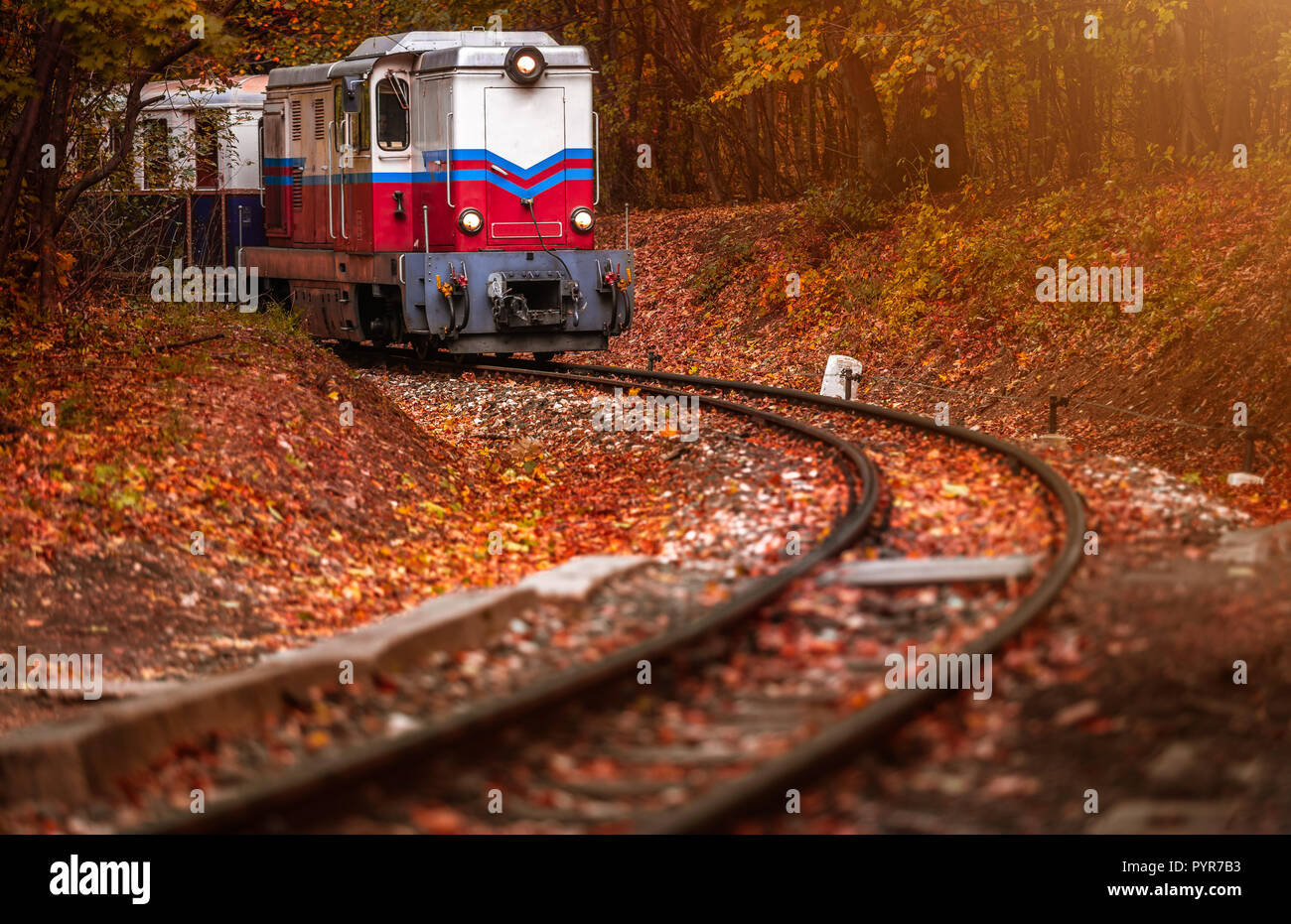 Budapest, Hongrie - belle forêt d'automne avec le feuillage et vieux train coloré sur la piste en bois de Huvosvolgy Hongrois Banque D'Images