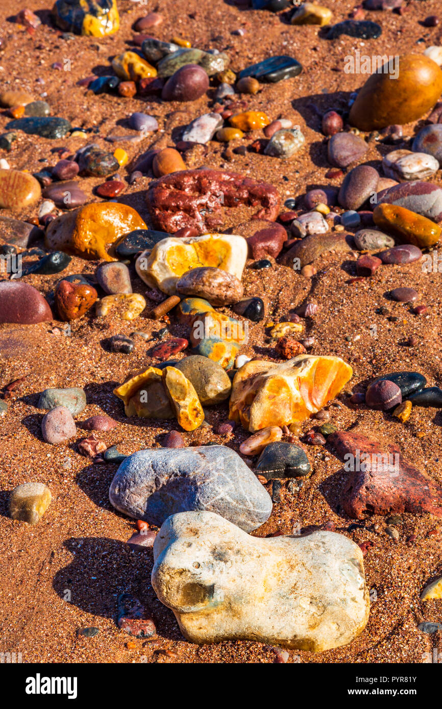 Cailloux très colorée sur une plage de sable à Devon, Royaume-Uni. Banque D'Images