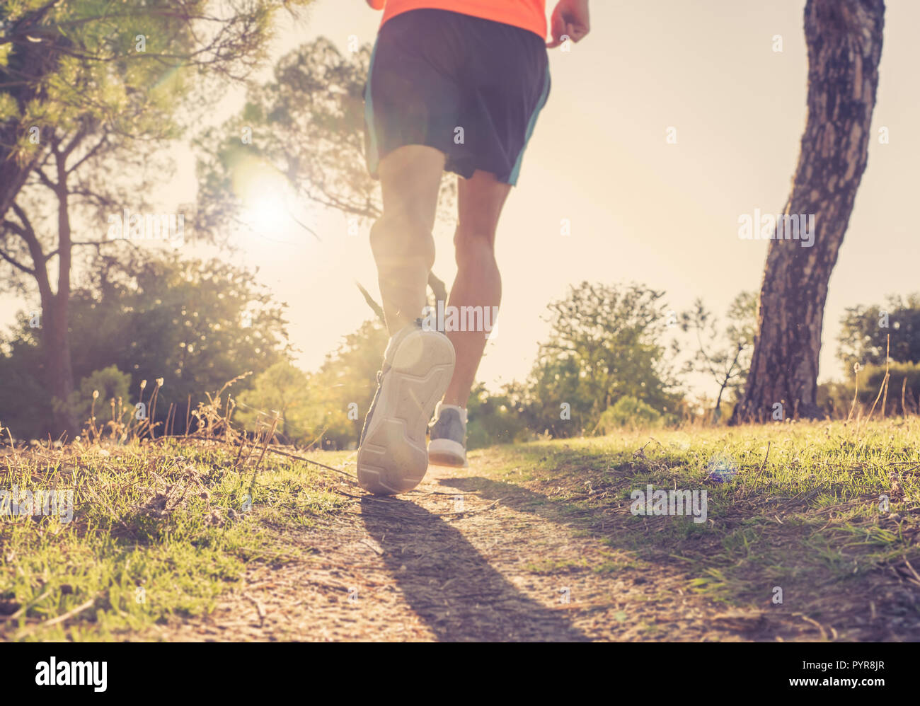 Vue arrière de sport homme avec des jambes musclées et athlétiques ripped off road course dans la nature au coucher du soleil d'automne dans la course à la formation d'entraînement à campagne i Banque D'Images
