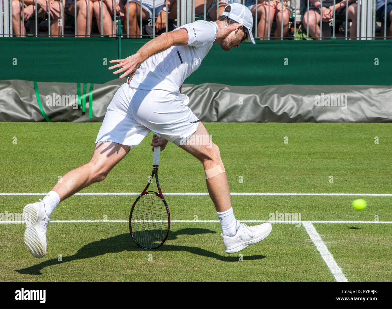 Jaimy Murray wimbledon Banque D'Images