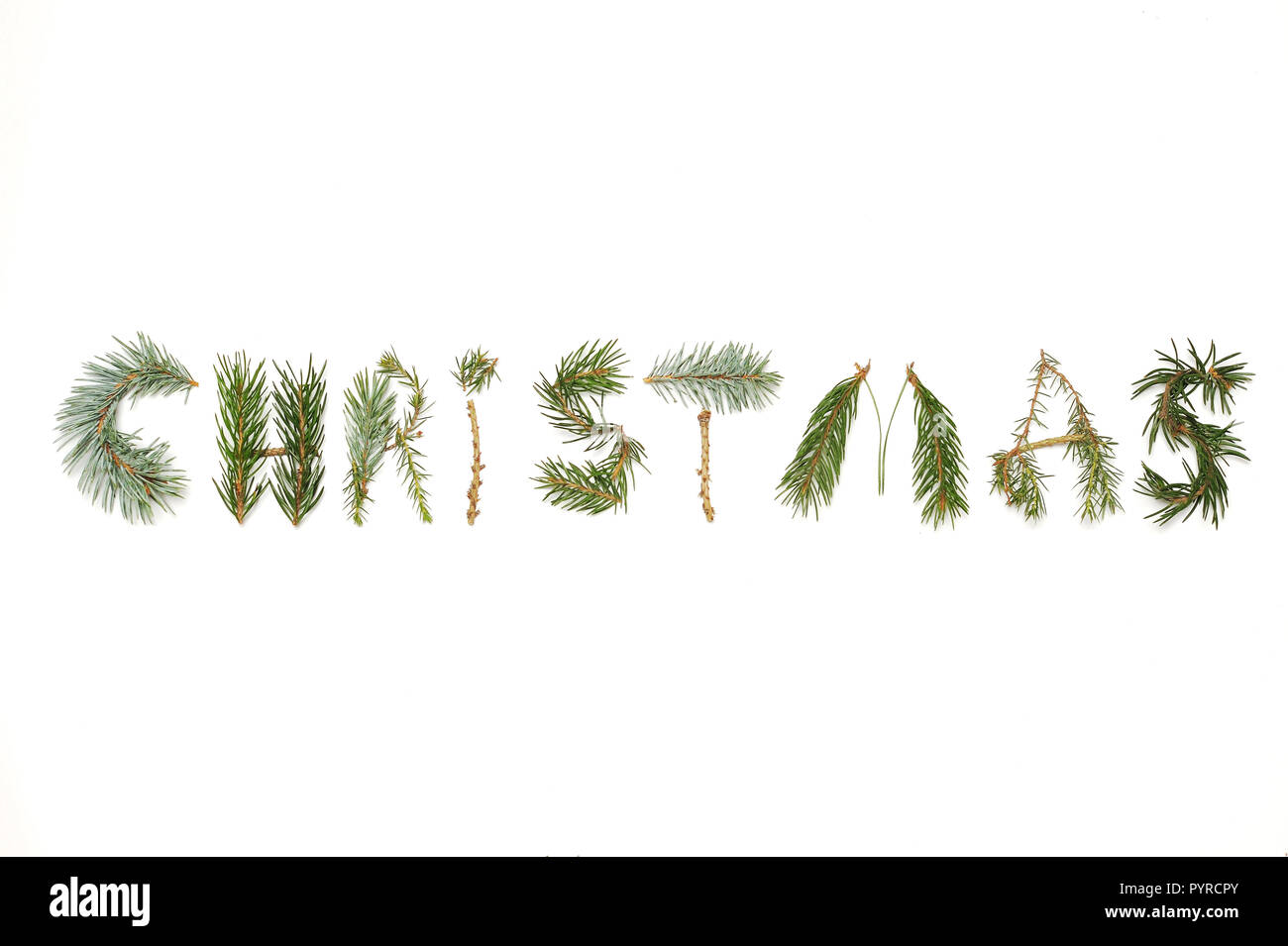 Composition de Noël. Noël mot constitué de différentes plantes d'hiver sur fond blanc. Mise à plat, vue du dessus. Banque D'Images